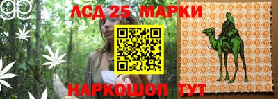шишки Ливны