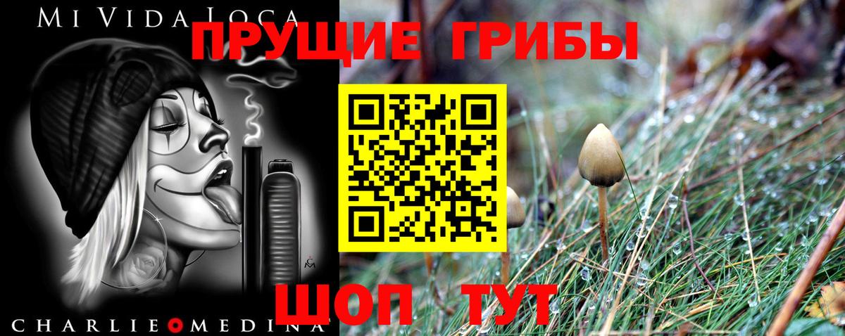 Галлюциногенные грибы мухоморы  Вход с VPN  закладки  Всеволожск 